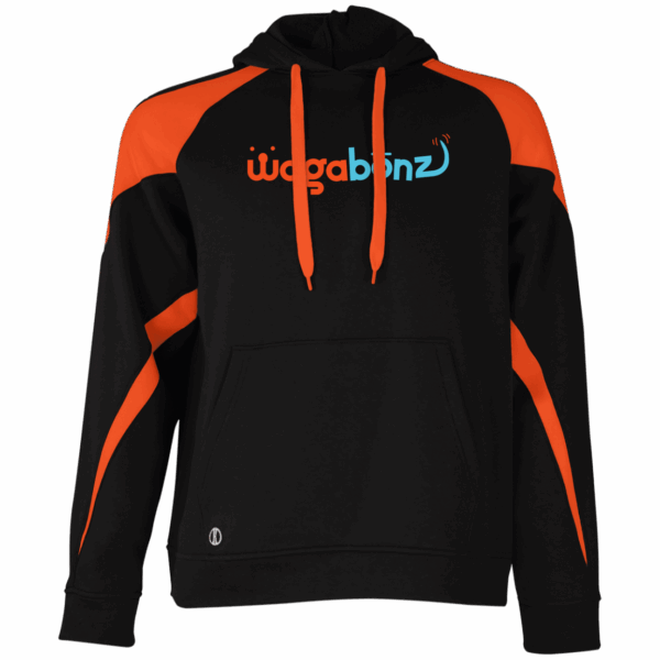 229546 Colorblock Hoodie