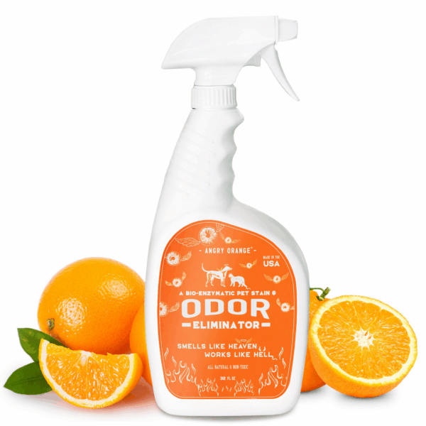 Pet Stain & Odor Remover - 32oz