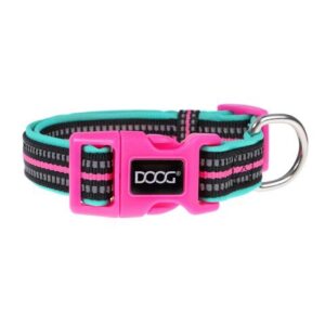 DOOG Dog Collar - Image 2