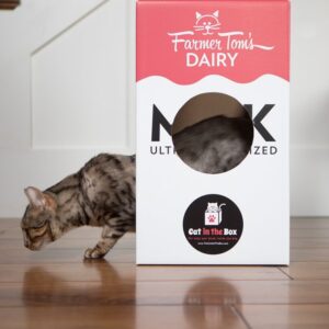 Mega Milk Carton Cardboard Cat House - Image 3