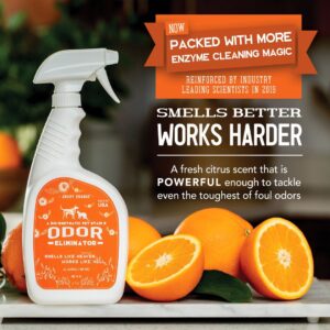 Pet Stain & Odor Remover - 32oz - Image 2