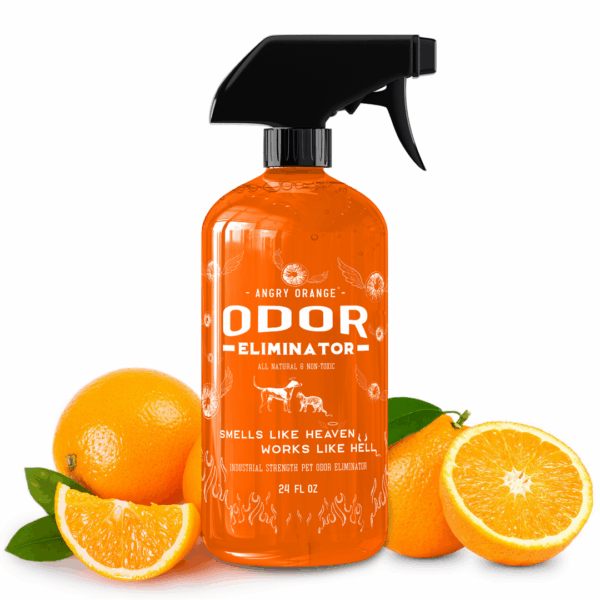 Pet Odor Eliminator Spray - 24oz