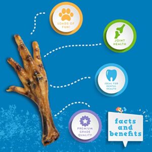 Chicken Feet - Image 2
