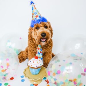 Birthday Party Hats - Image 4