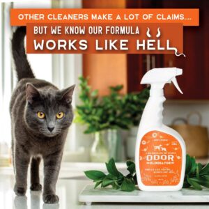 Pet Stain & Odor Remover - 32oz - Image 4