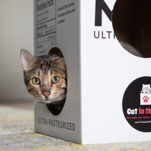 Mega Milk Carton Cardboard Cat House - Image 2
