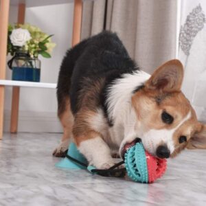 Treat Dispensing Dog Pull Toy - Image 3