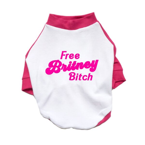 "Free Britney Bitch" Raglan Shirt
