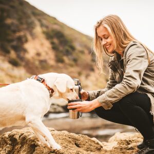 Dog & Me Bowl/Stainless Bottle - Image 3