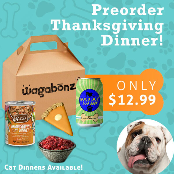 Thanksgiving Dinner