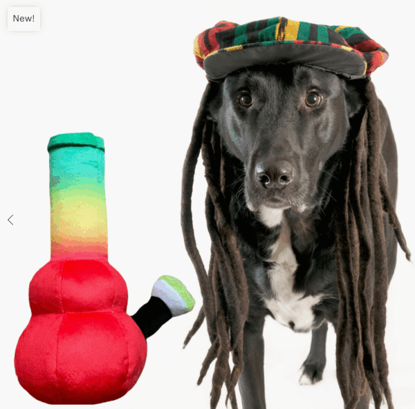 Bo da Bong