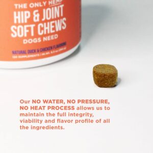 The Only Hip & Joint Soft Chews Dogs Need - Image 3