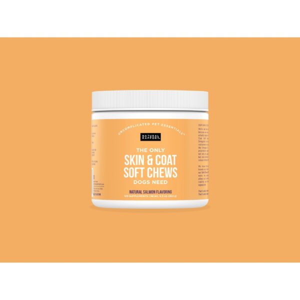 The Only Skin & Coat Soft Chews Dogs Need