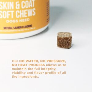 The Only Skin & Coat Soft Chews Dogs Need - Image 3