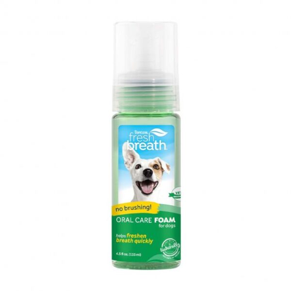 Oral Care Foam 4.5oz