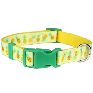 Pineapples Collars Asst