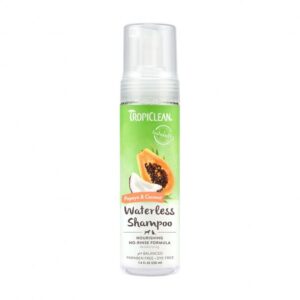 Papaya and Coconut Waterless Shampoo