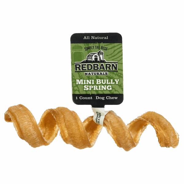Bully Springs