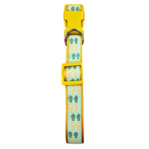 Nylon Pineapple Collar
