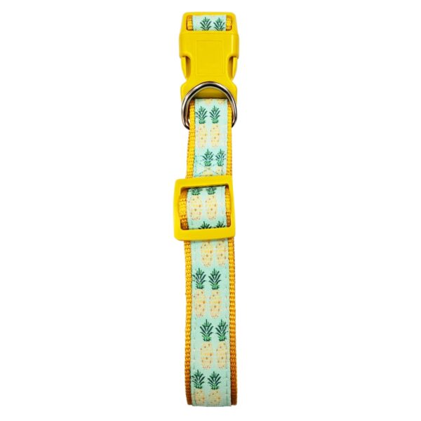 Nylon Pineapple Collar