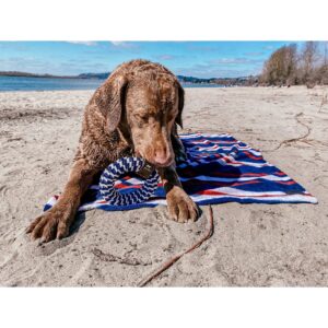 Nautical Stripe Blanket