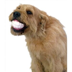 Humunga Chomp - Large - Image 2