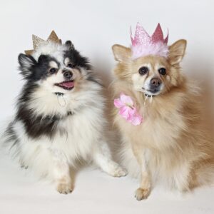 Party Crown Birthday Hat - Image 2