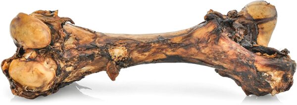 Beef Femur Bone