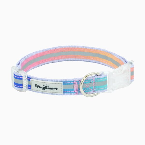 HugSmart Neon Collar