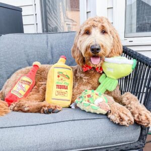 Margarita Plush Dog Toy - Image 2
