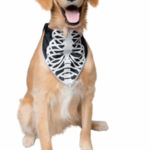 Glow-in-the-Dark Skeleton Bandana - Image 2