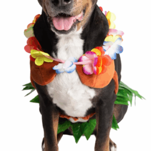 Hula Girl Costume - Dog - Image 2