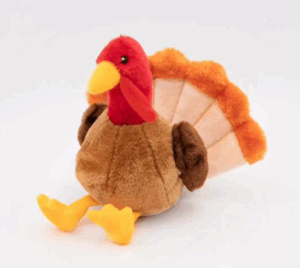 Tucker the Turkey
