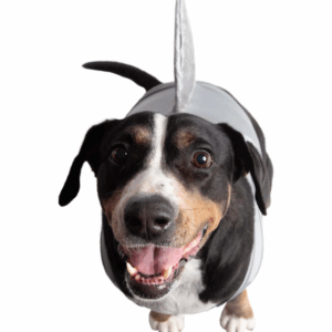 Shark Costume - Image 2