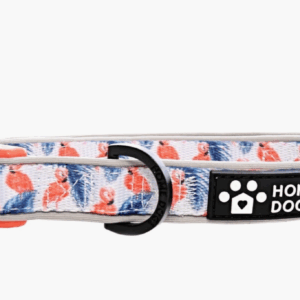 HomeDogCo Aruba (Flamingo) Line