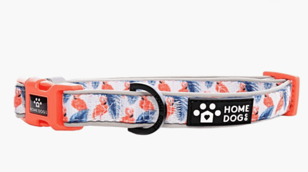 HomeDogCo Aruba (Flamingo) Line