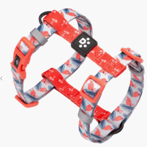 HomeDogCo Aruba (Flamingo) Line - Image 2