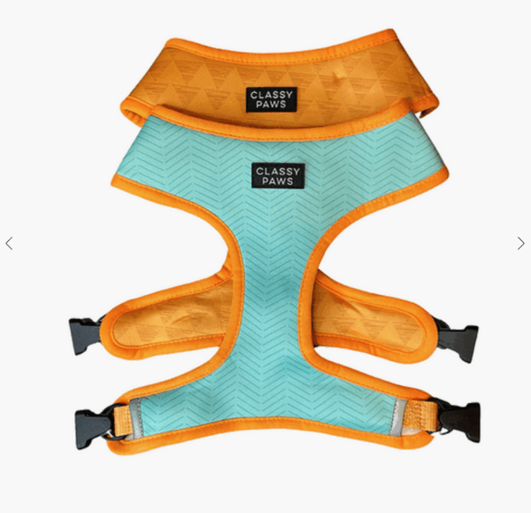 "Orange You Classy" Harness