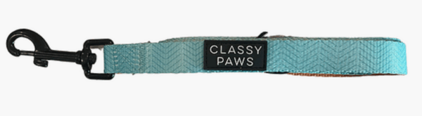 "Orange You Classy" Leash