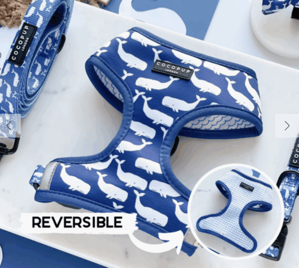 Whale of a Time Reversible Harness