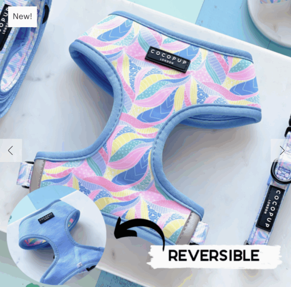 Abstract Beach Reversible Harness
