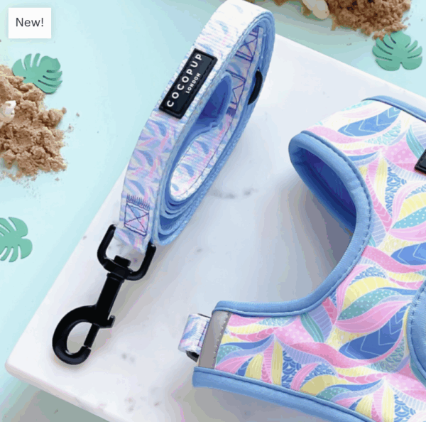 Abstract Beach Lead