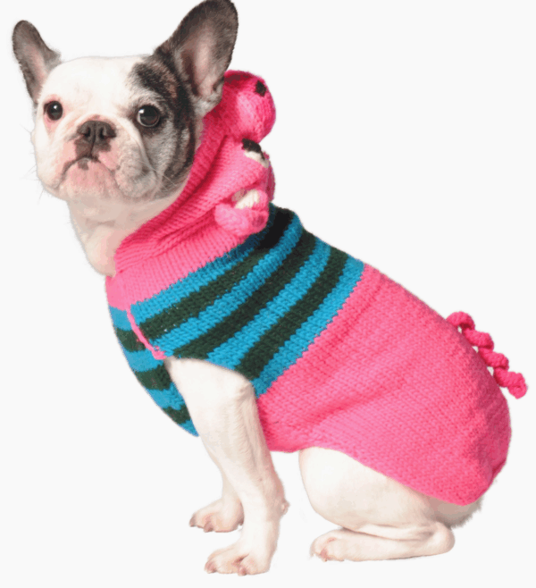 Chilly Dog Piggy Hoodie
