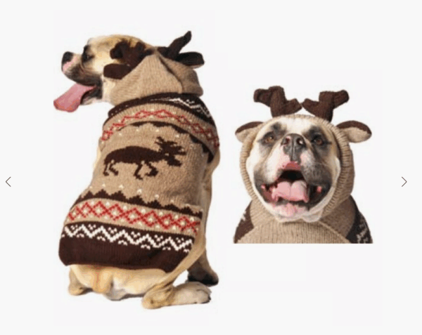 Moosey Dog Hoodie