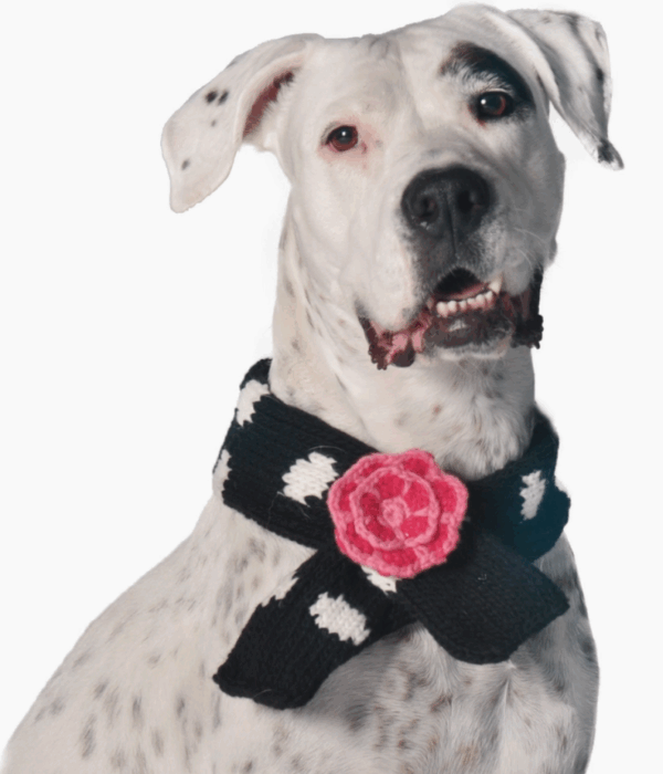 Black Polka Dog Scarf