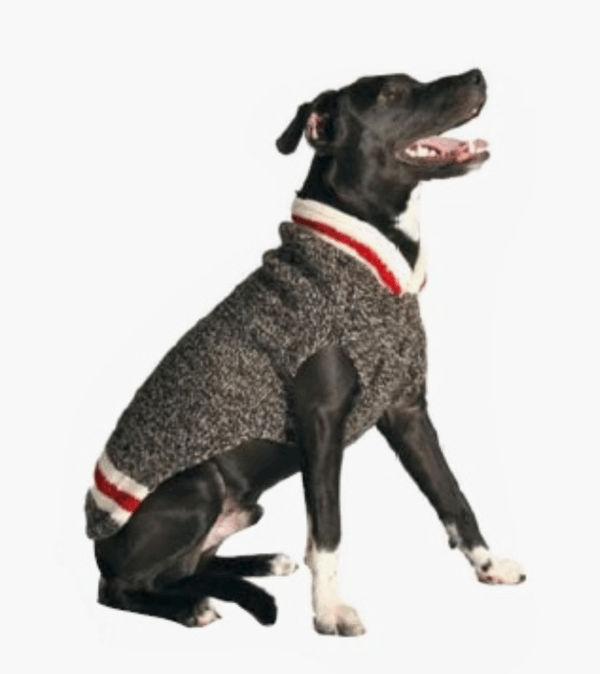 Boyfriend Dog Sweater