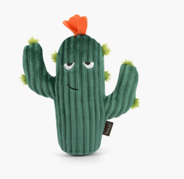 Blooming Buddies - Prickly Pup Cactus