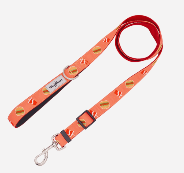 Hugsmart Foodietime Dog Leash