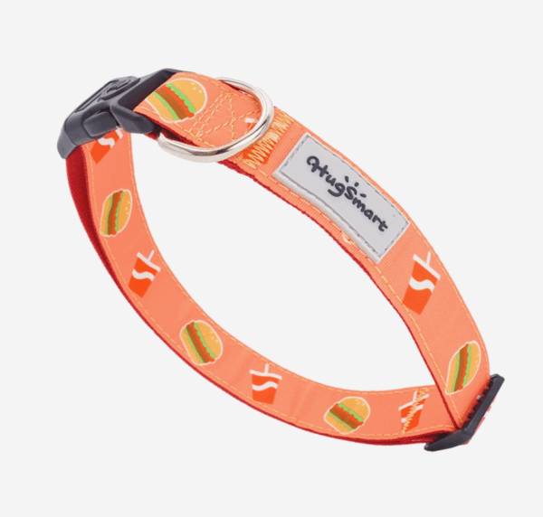 Hugsmart Foodie Time Dog Collar
