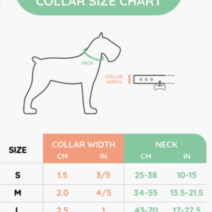 Hugsmart Foodie Time Dog Collar - Image 2